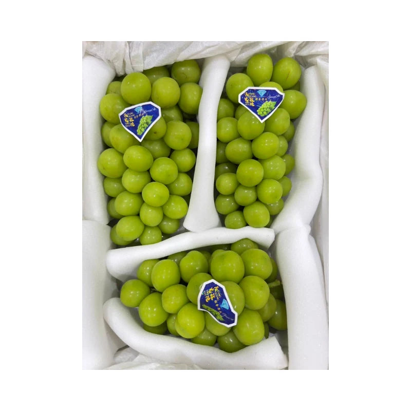 JTX Swan Brand Shine Muscat Grapes Yellow Basket 3 Bunches (Total Weight Including Basket 4.2kg)