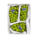 JTX Swan Brand Shine Muscat Grapes Yellow Basket 3 Bunches (Total Weight Including Basket 4.2kg)
