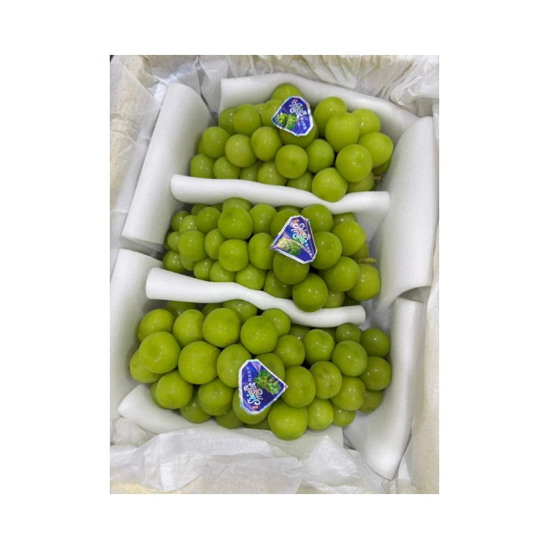 JTX Swan Brand Shine Muscat Grapes Yellow Basket 3 Bunches (Total Weight Including Basket 4.2kg)