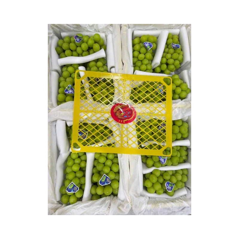 JTX Swan Brand Shine Muscat Grapes Yellow Basket 3 Bunches (Total Weight Including Basket 4.2kg)