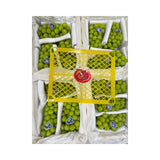 JTX Swan Brand Shine Muscat Grapes Yellow Basket 3 Bunches (Total Weight Including Basket 4.2kg)
