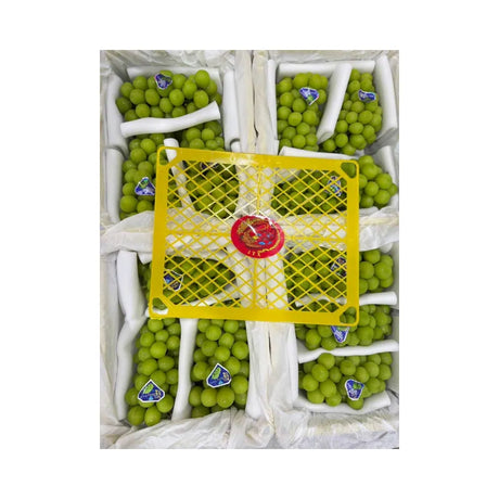 JTX Swan Brand Shine Muscat Grapes Yellow Basket 3 Bunches (Total Weight Including Basket 4.2kg)