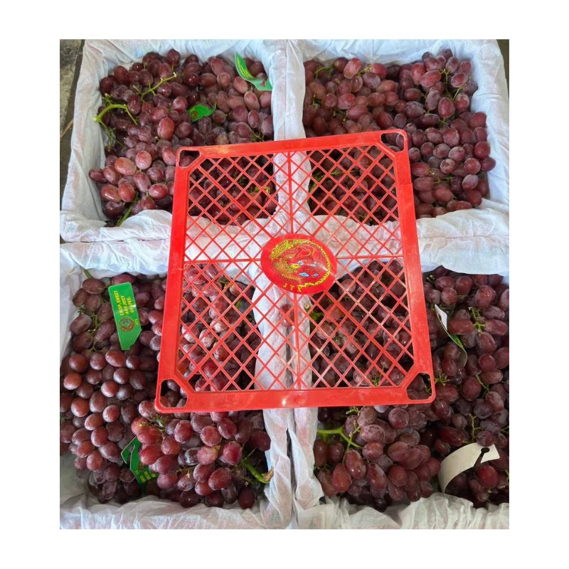 JTX Swan Seedless Red Grapes (Total Weight Including Basket 4.5kg)
