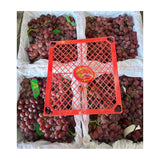JTX Swan Seedless Red Grapes (Total Weight Including Basket 4.5kg)
