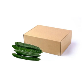 Fresh Japanese cucumbers, slim crisp cucumbers, 5kg bulk pack isolated on white background