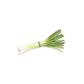 Fresh Japanese leek, long white and green stalks, 500g pack isolated on white background