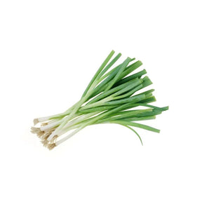 Fresh Japanese leek, long white and green stalks sold per kg isolated on white background