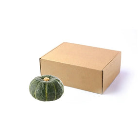 Fresh Japanese pumpkin, whole kabocha squash, 5kg bulk pack isolated on white background