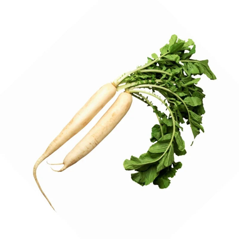 Japanese Radish 400–500g Organic
