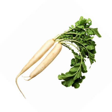 Japanese Radish 400–500g Organic