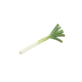 Fresh short Japanese spring onions, tender green stalks, 250g pack isolated on white background