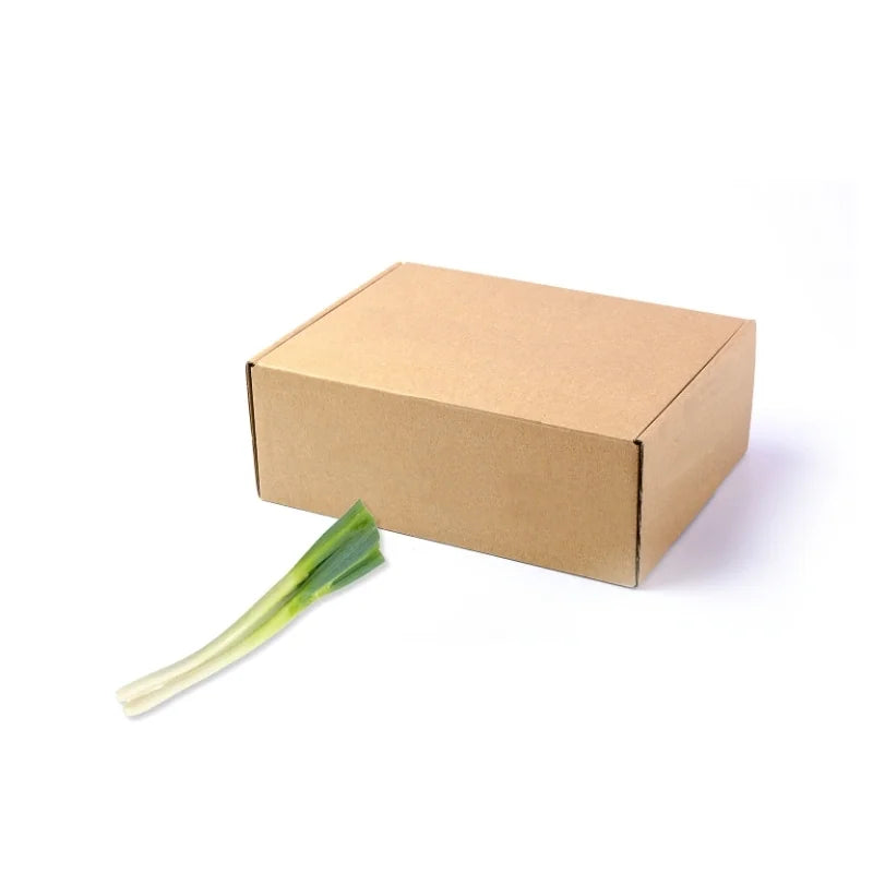 Japanese Spring Onion (Short) 5kg