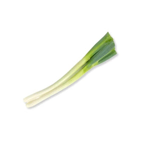 Fresh short Japanese spring onions, tender green stalks sold per kg isolated on white background