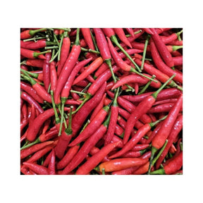 Fresh red Jinda chili peppers, hot Thai chilies, 500g pack isolated on white background