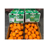 Joey Orange Australia Size 48