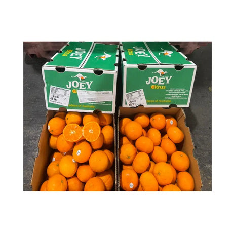 Joey Orange Australia Size 48