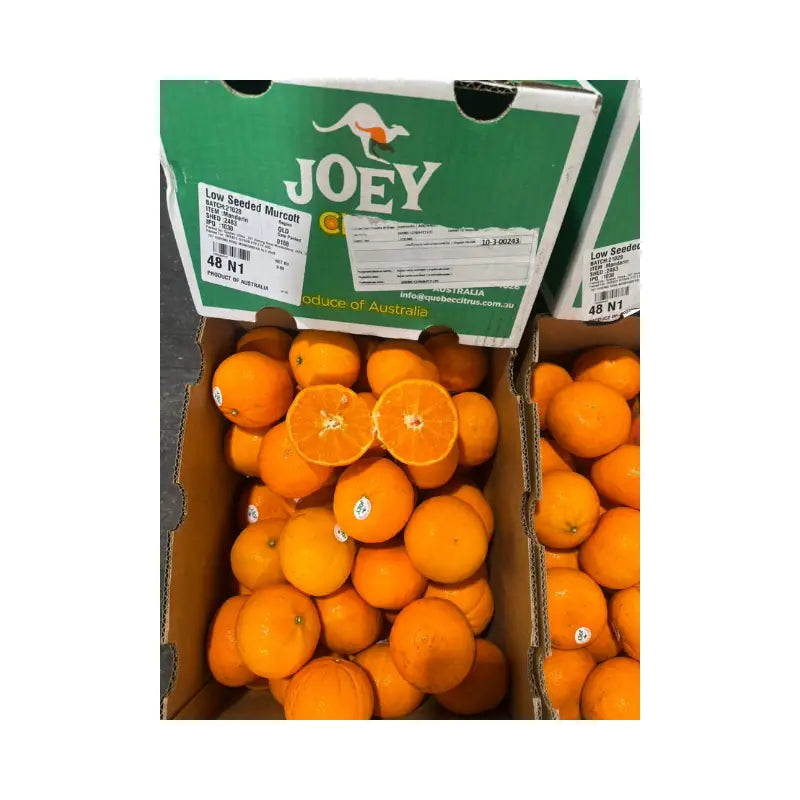 Joey Orange Australia Size 56