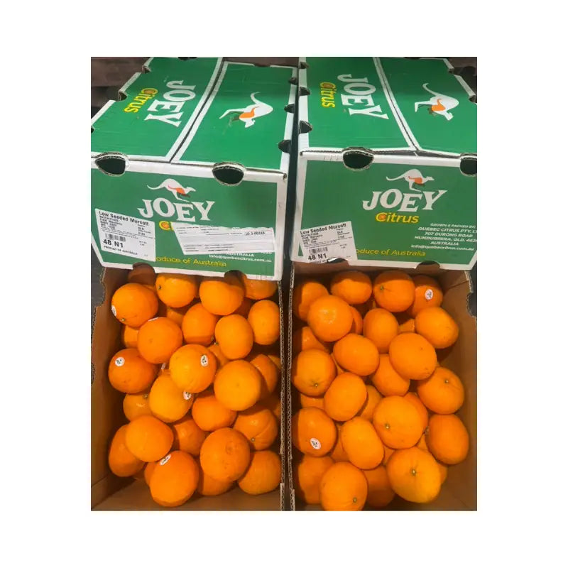 Two boxes of oranges labeled 'JOEY' on a white background