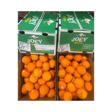 Two boxes of oranges labeled 'JOEY' on a white background