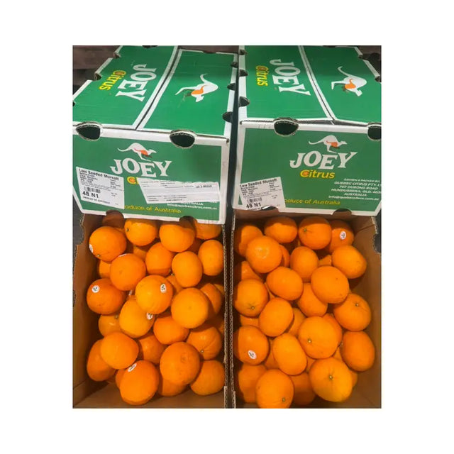 Two boxes of oranges labeled 'JOEY' on a white background