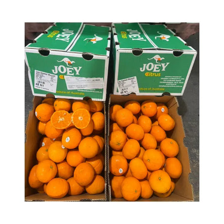 Two boxes of oranges with green Joey brand boxes on a white background
