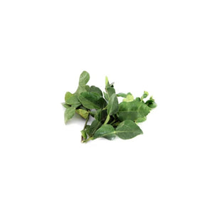 Fresh kaffir lime leaves, aromatic Thai herb, 250g pack isolated on white background
