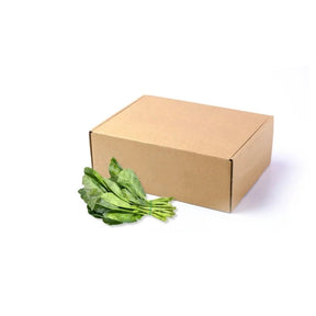 Fresh kale bundle on a white background