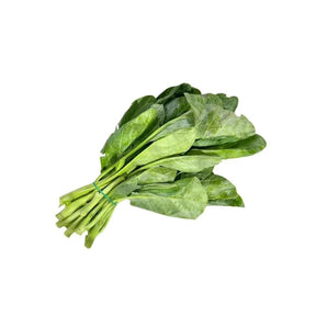 Fresh kale leaves on a white background