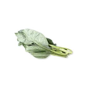 Fresh mature kale leaves, firm dark green leaves, 250g pack isolated on white background