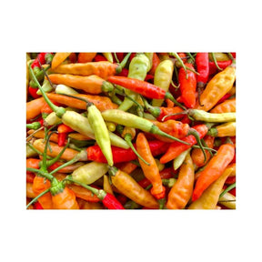 Fresh Karen chili peppers, small hot Thai chilies, 100g pack isolated on white background