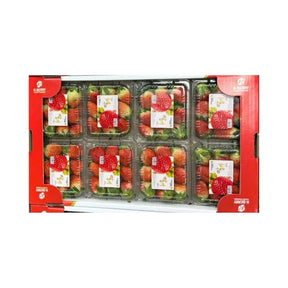 Fresh Korean strawberries, premium large strawberries, 8 x 250g packs per box isolated on white background