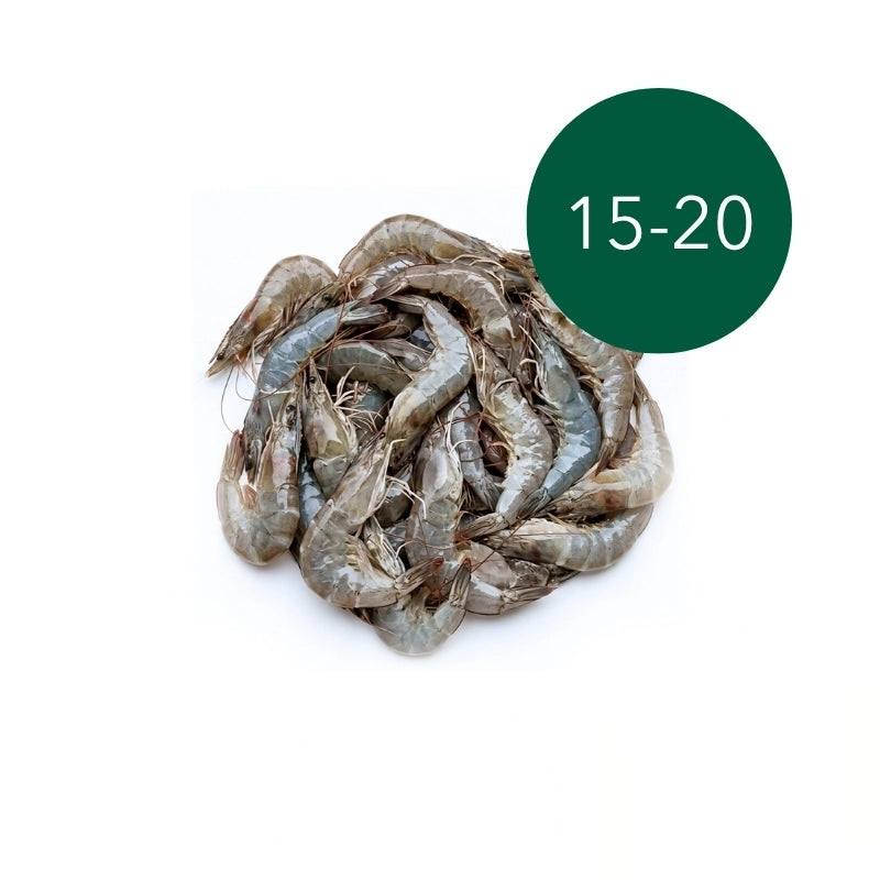 กุ้งขาวใหญ่ 15-20 ตัว/กก.