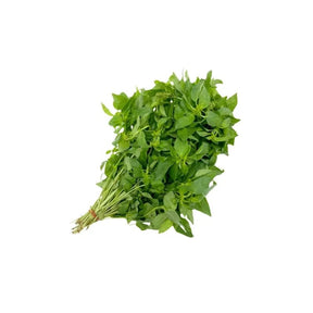 Lemon basil leaves on a white background