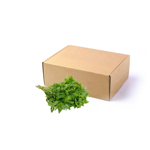 Bulk 5kg pack of Lemon Basil Leaves on white background — wholesale Thai lemon basil for restaurants and catering.