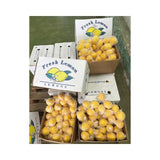 Lemon White Box Size 88 (Net Weight 14kg/Box)