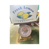 Lemon White Box Size 88 (Net Weight 14kg/Box)