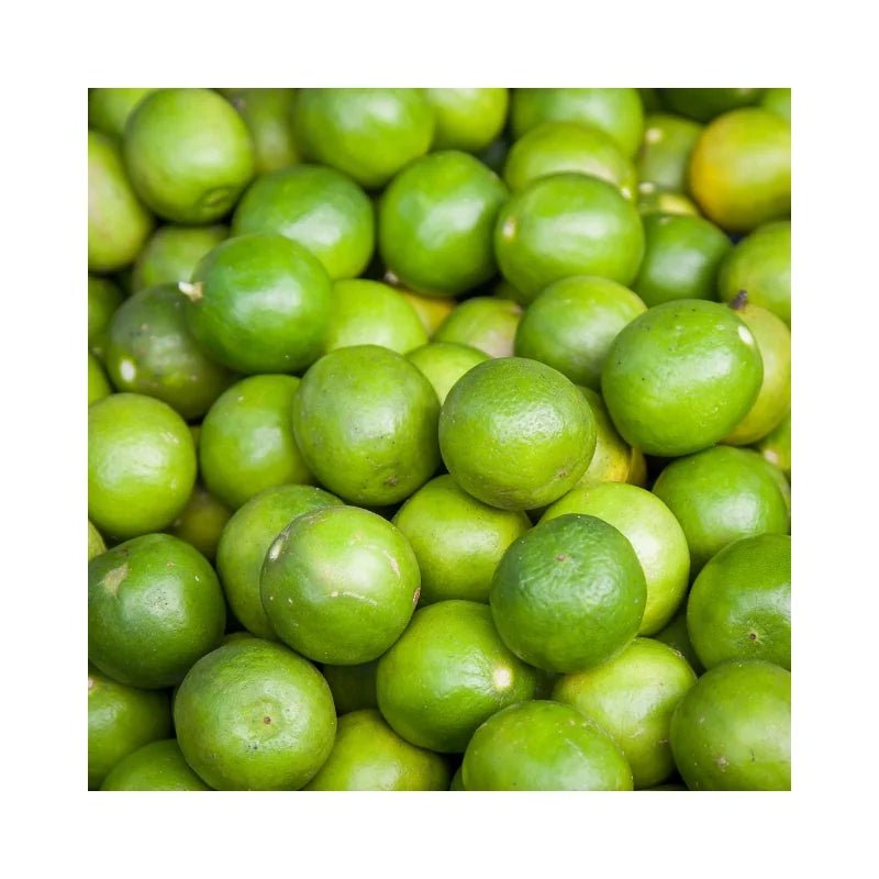 Lime (Large) 100 Pieces | Bulk Limes for High-Volume Kitchens – Bangkok ...