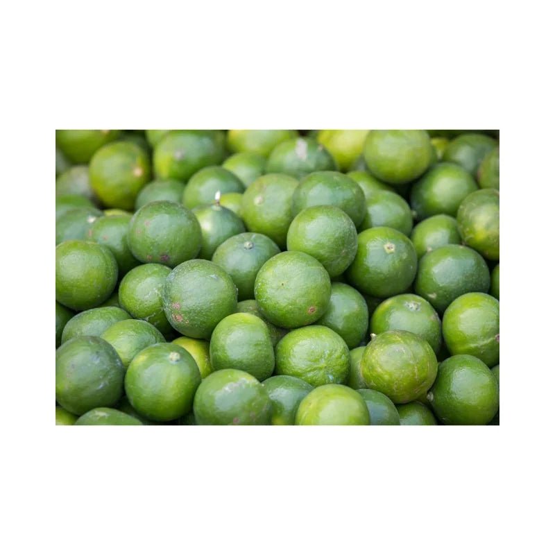 Lime (Medium) 100 Pieces - Bangkok FreshLink