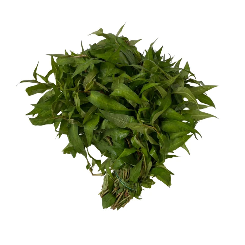 野苋菜 每公斤