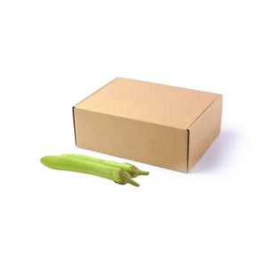 Fresh long green eggplant, slender green eggplants, 5kg bulk pack isolated on white background