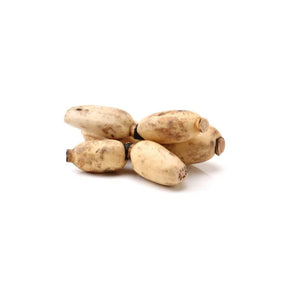 Fresh lotus root, whole crunchy lotus root sold per kg isolated on white background