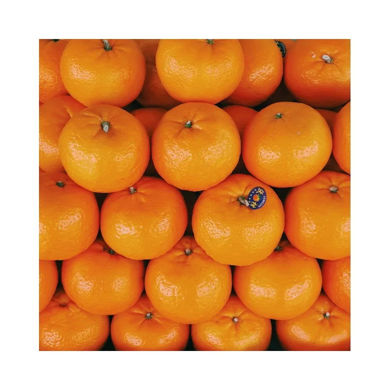 ส้มแมนดาริน กก.ละ