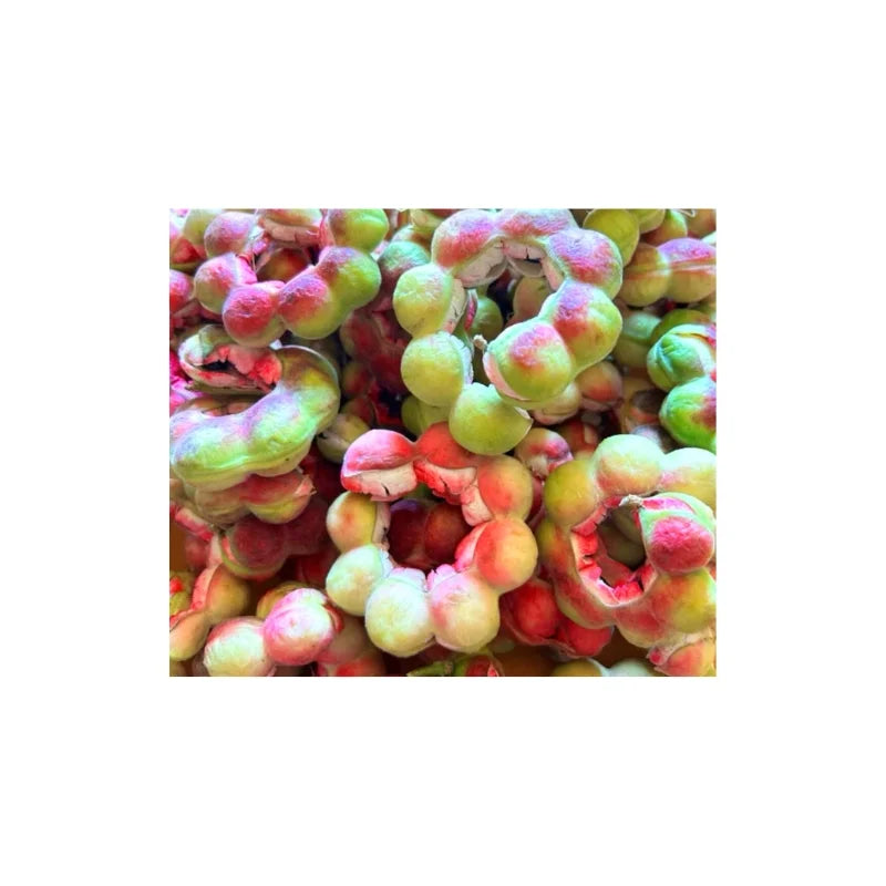 มะขามเทศ 3 กก.