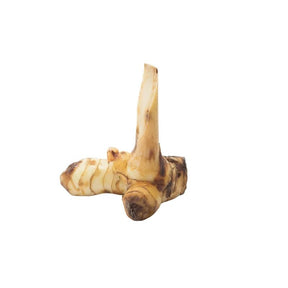 Mature galangal root, aromatic Thai ingredient, 250g pack isolated on white background