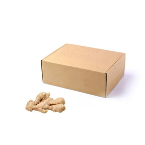 Fresh mature ginger root, aromatic cooking ginger, 10kg bulk pack isolated on white background