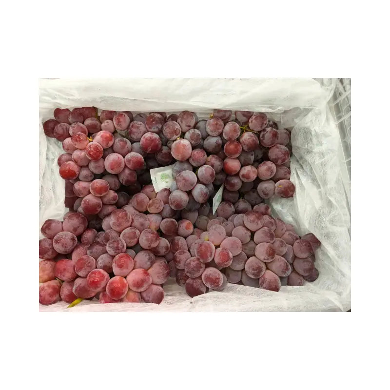 Miami Brand Red Grapes (Total Weight Including Basket 5.8kg)