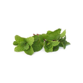 Fresh mint leaves, vibrant green herbs, 500g pack isolated on white background
