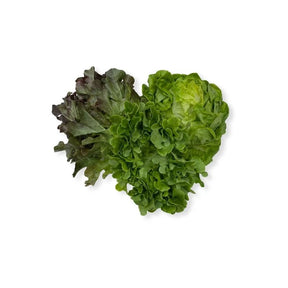 Fresh mixed salad greens, ready-to-eat vegetable mix, 220g pack isolated on white background