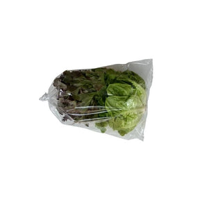 Fresh mixed salad greens, assorted leafy vegetables sold per kg isolated on white background