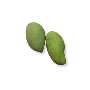 Fresh Nam Dok Mai mango for salad, crisp sour mangoes sold per kg isolated on white background